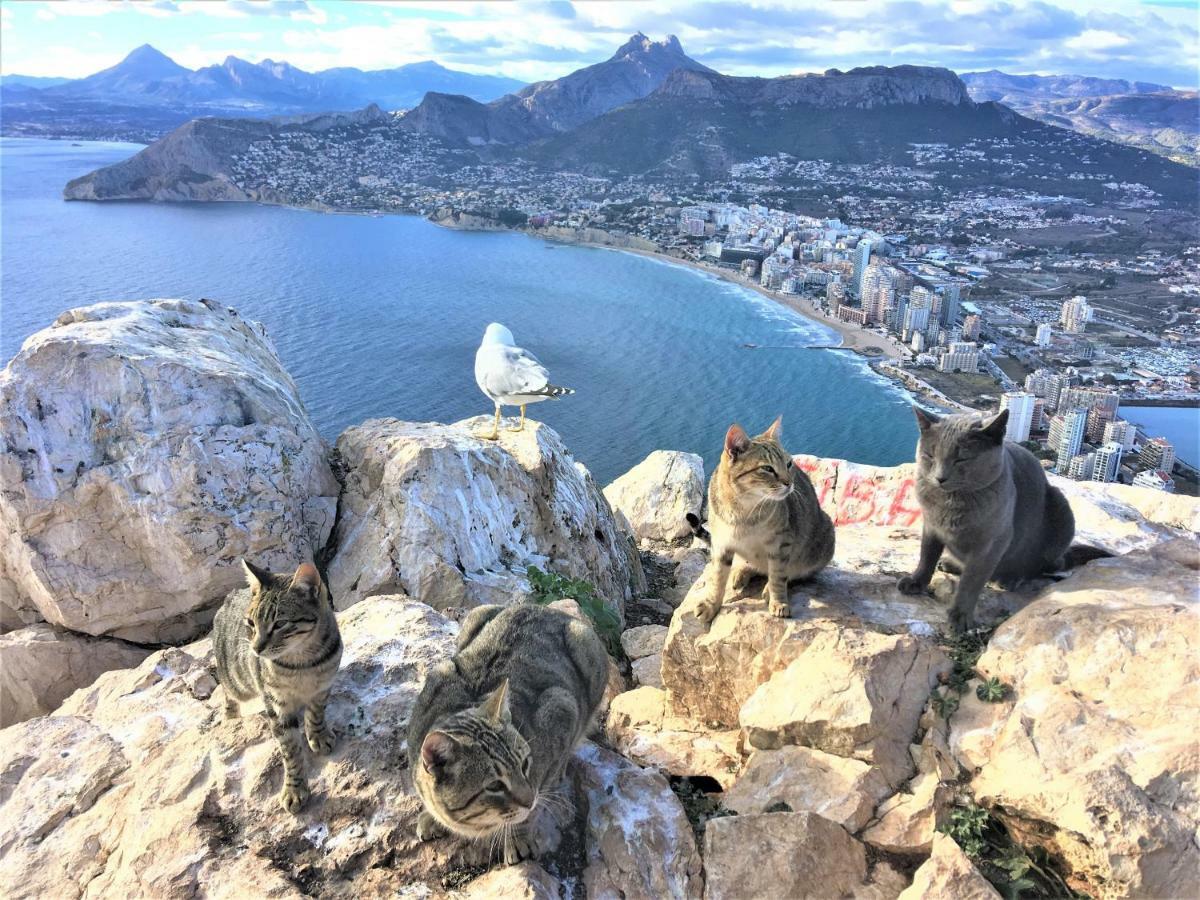 Villa Esmeralda Altea la Vieja المظهر الخارجي الصورة